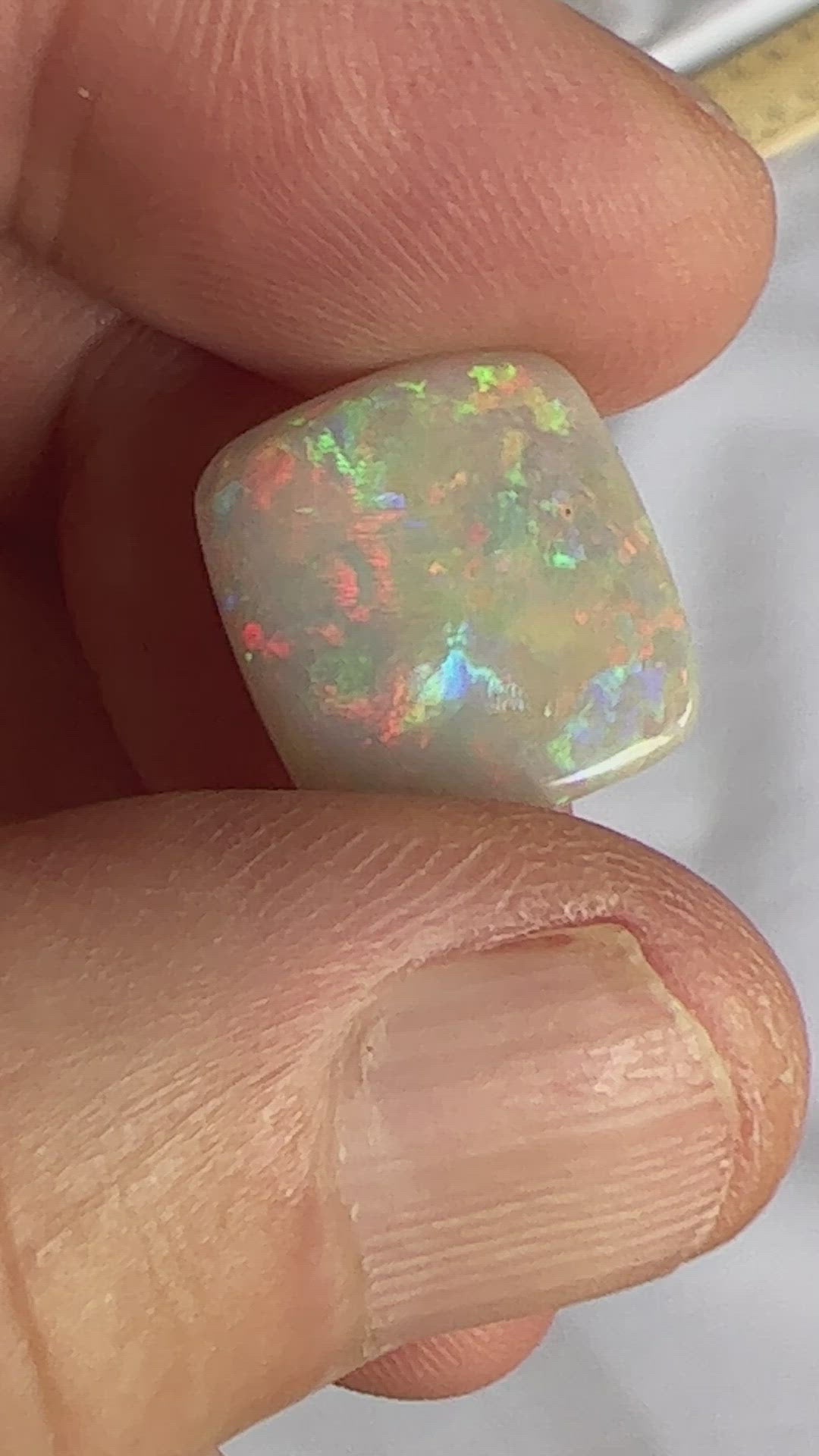 Stunning cushion cut semi black opal from Grawin, near Lightning Ridge, displaying an impressive play of colour including plenty of reds.