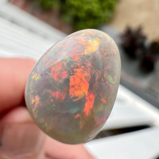 Mintabie semi black opal. Absolutely beautiful and ready to set.