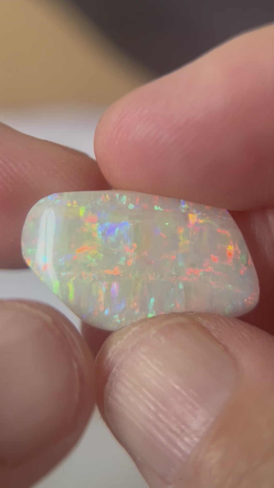 Wonderful vertical mulga gem quality stone. This will make a fantastic piece of jewellery. Showing deep colours. Its perfect! From the mine of Craig Haxton in Lightning Ridge.