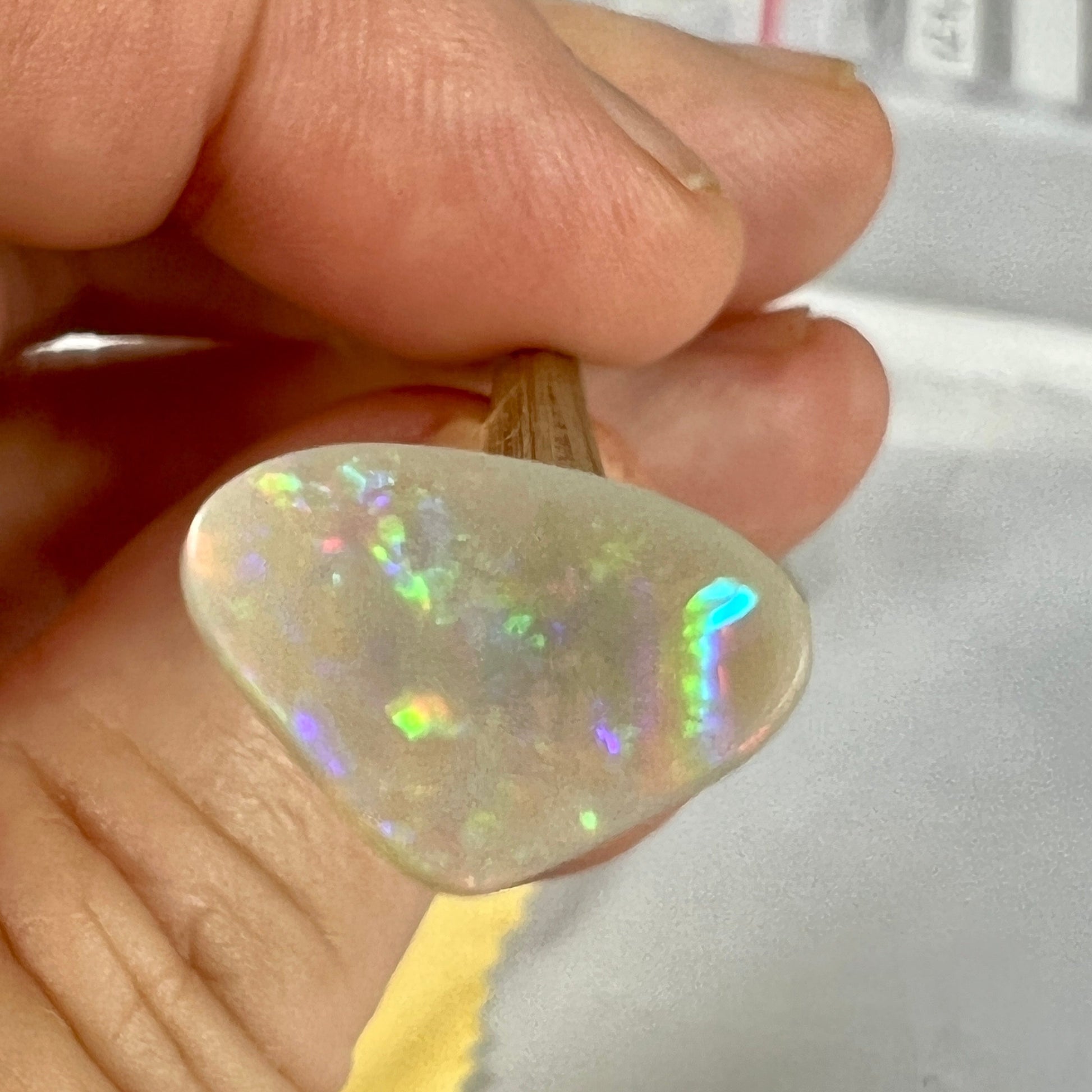 Nice semi black opal from Lightning Ridge, displaying brilliant flashes of colour.